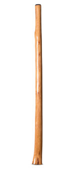 Natural Finish Flared Didgeridoo (TW1790)